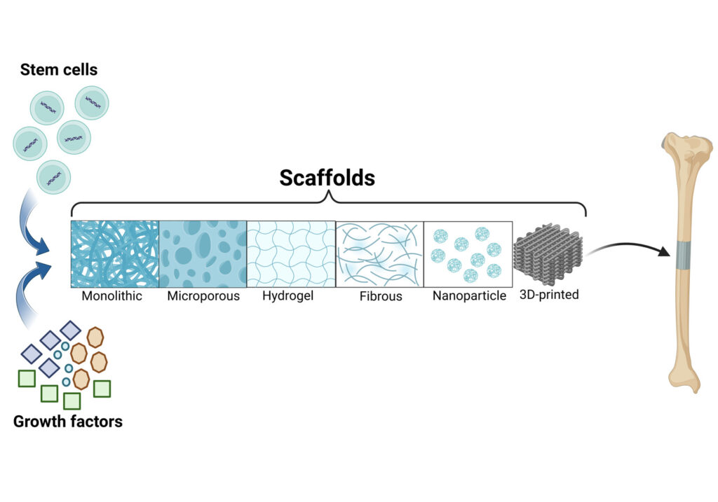 Diagram of nanofiber scaffolds used in tissue engineering