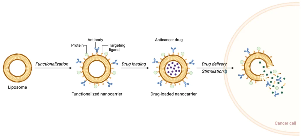 targeted drug delivery