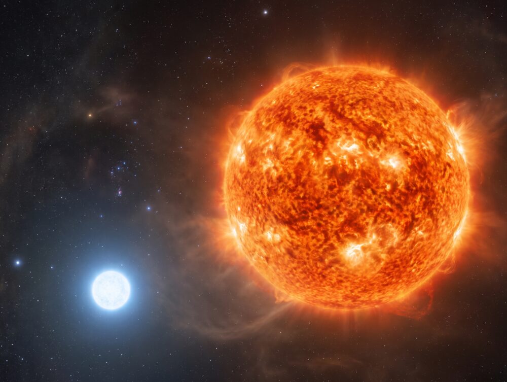 Betelgeuse Is Not Alone: Astronomers Have the Image to Prove It